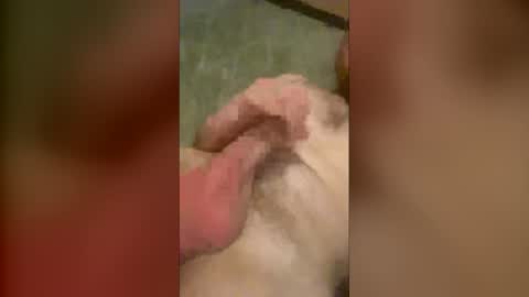 olijames6891 online show from December 2025 07:48:02 AM