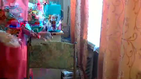 Olivia Mia online show from April 2026 08:50:01 AM