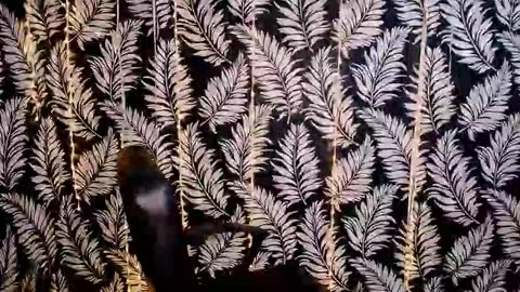 Snapshot of oliviaoskar_ chatting on October 2025 11:33:02 AM Kelly online show from October 2025 11:33:02 AM