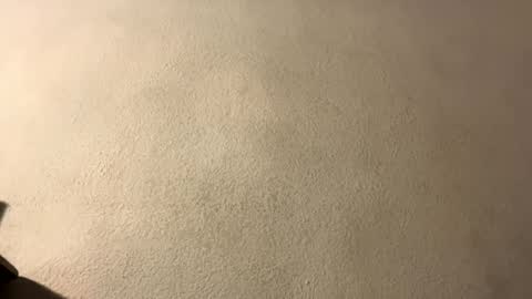 amy 3 online show from September 2025 08:47:01 PM