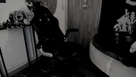     ... online show from April 2026 09:19:01 PM