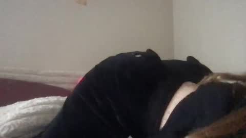 Lovella online show from December 2024 07:25:02 PM