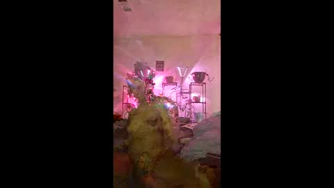 onfleektigress online show from May 2026 11:33:02 PM