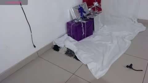 Snapshot of onlysaralee chatting on December 2025 04:21:01 AM Sara Lee online show from December 2025 04:21:01 AM