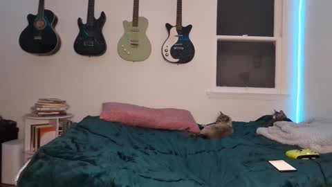 Snapshot of onlystrings chatting on March 2025 02:52:01 AM Duo online show from March 2025 02:52:01 AM