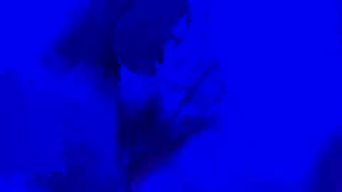 onurkneespls online show from September 2025 12:05:01 AM