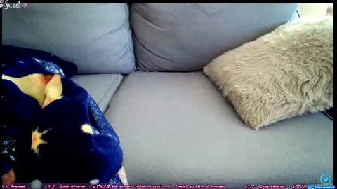  OF - Ooh 69sweet SNAP4LIFE OFFLINE  899 normal  VIP 1369 outside  online show from June 2026 02:34:01 PM