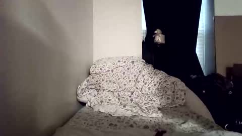 Snapshot of opalockajoe chatting on January 2025 01:19:02 PM TsJojo online show from January 2025 01:19:02 PM