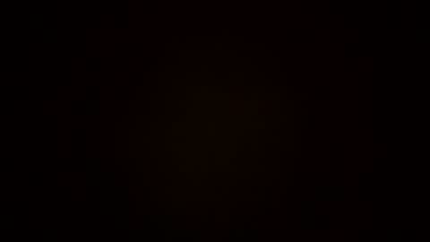 oralzoo2 online show from October 2025 12:30:02 AM