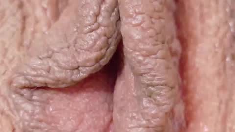 orchidekitty online show from February 2026 09:13:01 PM