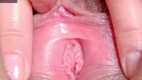 orchidekitty online show from April 2026 09:10:02 PM
