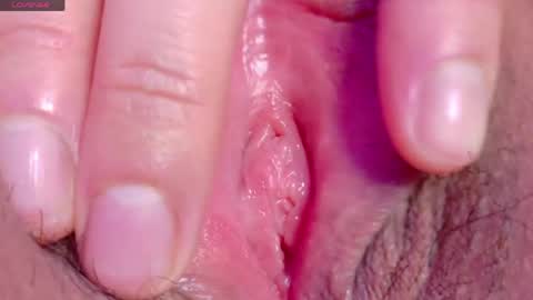 orchidekitty online show from April 2026 09:08:01 PM