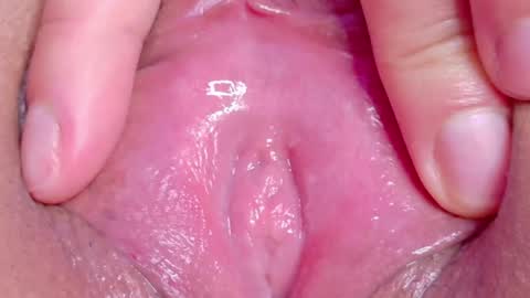 orchidekitty online show from May 2026 11:10:01 PM