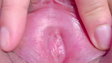 orchidekitty online show from May 2026 10:05:02 PM
