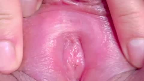 orchidekitty online show from June 2026 01:16:02 AM