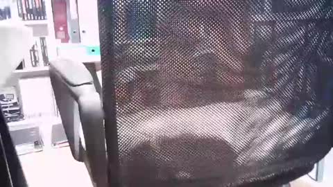 Snapshot of oren57 chatting on March 2025 02:44:02 PM oren online show from March 2025 02:44:02 PM