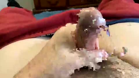 Super Soaker Oreo World online show from December 2024 07:21:02 PM