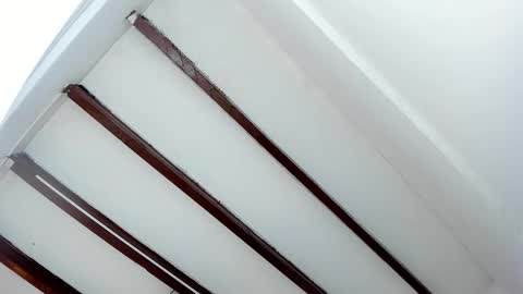 Snapshot of oriana_guzman chatting on January 2025 05:45:02 PM Miss Guzman online show from January 2025 05:45:02 PM