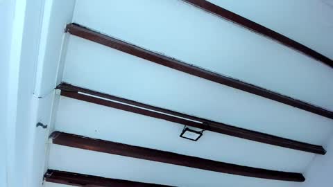 Snapshot of oriana_guzman chatting on February 2025 12:16:01 PM Miss Guzman online show from February 2025 12:16:01 PM