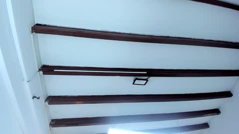 Snapshot of oriana_guzman chatting on February 2025 02:28:01 AM Miss Guzman online show from February 2025 02:28:01 AM