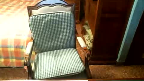 Snapshot of oscarw chatting on April 2026 03:39:01 PM Oscar online show from April 2026 03:39:01 PM