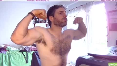 Snapshot of osito_blanco chatting on November 2025 08:19:02 PM Osito Blanco online show from November 2025 08:19:02 PM