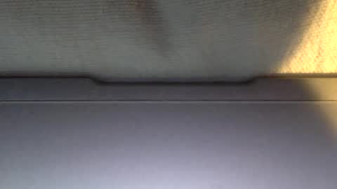 Otto online show from January 2025 04:05:01 PM