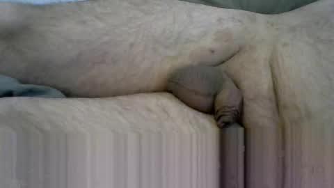 Snapshot of ovid771 chatting on October 2025 07:56:01 AM ovid771 online show from October 2025 07:56:01 AM