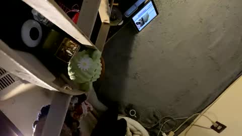 CoCreatorBlancki online show from January 2025 04:22:02 AM