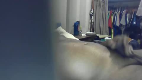 Snapshot of ozchaad chatting on January 2026 01:05:02 PM ozchaad online show from January 2026 01:05:02 PM