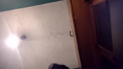 pablo6234516161 online show from May 2026 11:11:02 PM