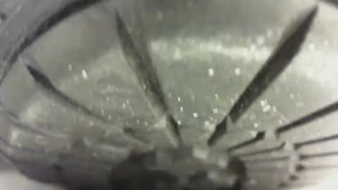 Pablo Meness online show from January 2025 04:49:02 PM