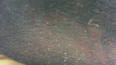 Pablo Meness online show from February 2025 08:23:02 PM