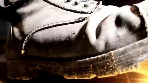 Pablo Meness online show from January 2026 08:29:01 PM