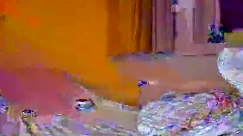 Pachoxx9 online show from February 2025 10:44:02 PM