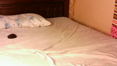 Snapshot of pacie1 chatting on November 2025 12:15:02 PM Pacie online show from November 2025 12:15:02 PM