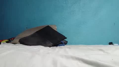 packo7777 online show from April 2026 12:06:01 AM