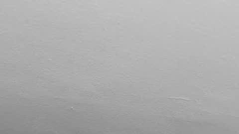 Snapshot of pamela_karim chatting on February 2025 09:51:01 PM Pamela karim online show from February 2025 09:51:01 PM