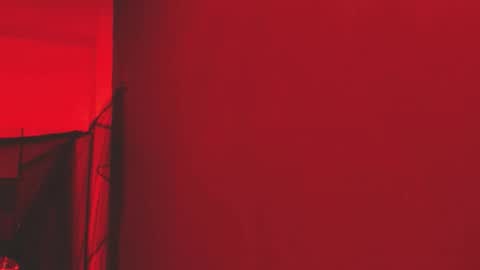  P A M  online show from November 2025 04:03:02 AM