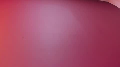  P A M  online show from February 2026 04:09:01 AM