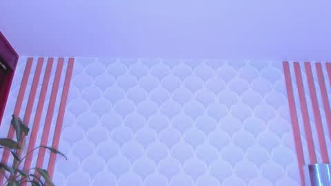 Snapshot of pamelareal chatting on February 2025 05:30:02 AM Pamela online show from February 2025 05:30:02 AM