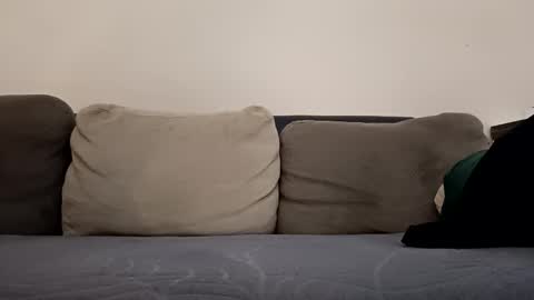 angel hris online show from October 2025 03:33:02 PM