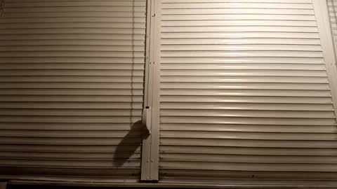 angel hris online show from March 2026 07:10:01 PM