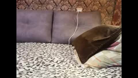 Snapshot of pancamo1000 chatting on January 2025 06:45:02 PM Pancamo online show from January 2025 06:45:02 PM