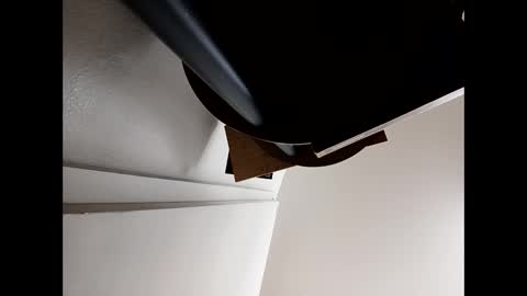 pantieplaytime52532 online show from March 2026 07:56:01 AM