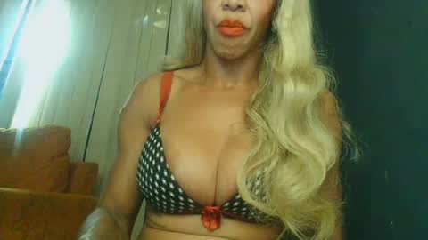 PAOLLA 23CM online show from July 2026 07:02:02 PM