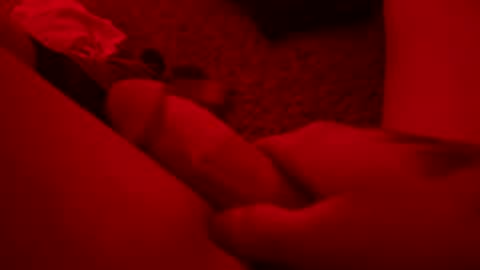 papi121221 online show from February 2026 11:24:01 AM