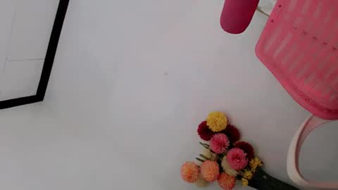 Snapshot of papigoddesslover chatting on February 2025 10:58:01 AM Fina Dwarf online show from February 2025 10:58:01 AM
