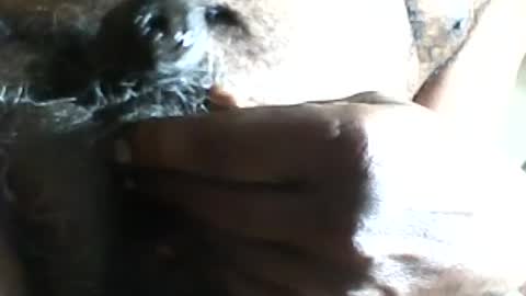 Snapshot of pappi_rambo chatting on July 2026 01:29:02 PM pappi_rambo online show from July 2026 01:29:02 PM