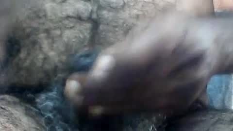 Snapshot of pappi_rambo chatting on August 2026 07:10:01 AM pappi_rambo online show from August 2026 07:10:01 AM